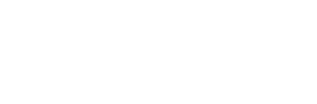 BizNC